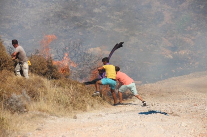 Denizden Çıkan Turistler Yangını Söndürmeye Gitti