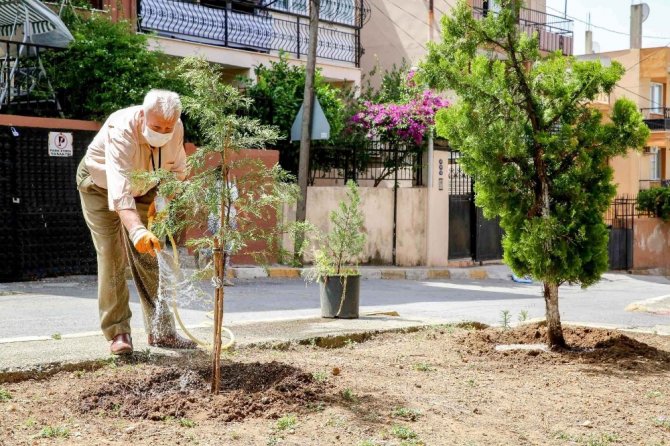 Çeyrek Asırlık Park Gönüllüsü: Sami Amca