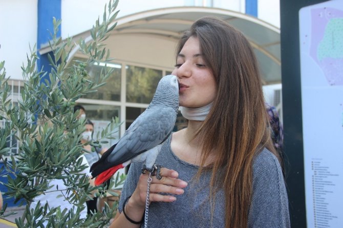 İzmir’de Sosyal Mesafeli Yks Başladı