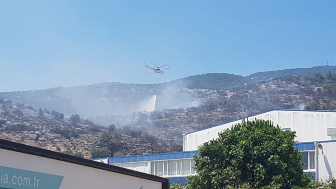 Söke’deki Makilik Yangını Söndürüldü