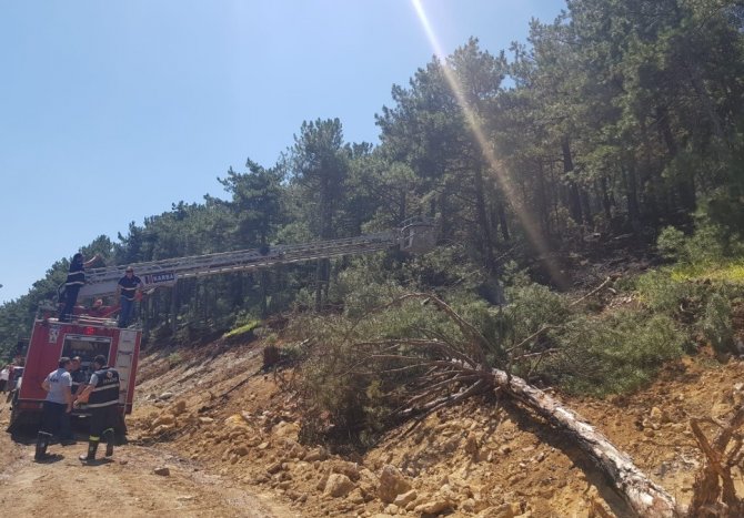 Tunçbilek’te Yangın Büyümeden Söndürüldü