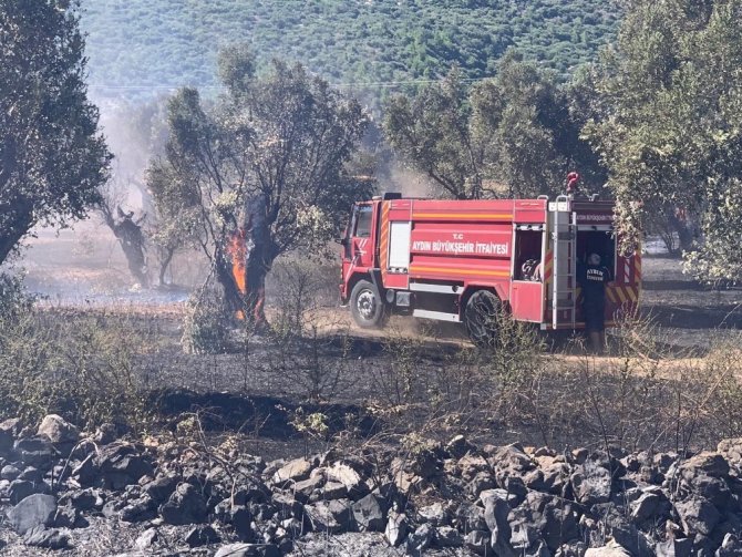 Büyükşehir İtfaiyesi Doğanbey’deki Yangını Büyümeden Söndürdü