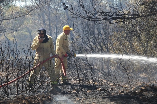 İzmir’de Korkutan Orman Yangını İle İlgili Bir Şüpheli Gözaltına Alındı