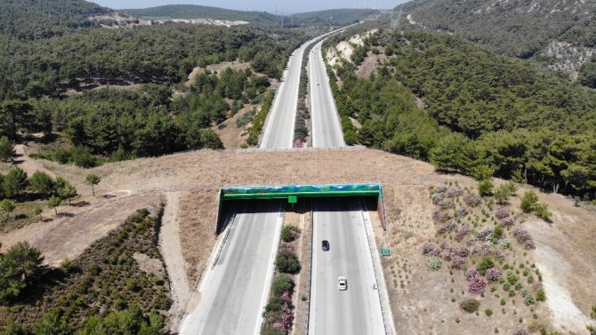 Çeşme Otoyolundaki Doğal Yaşam Köprüsünün Yapımı Tamamlandı