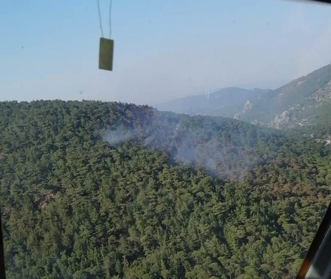 Milas’taki Orman Yangını Kontrol Altına Alındı