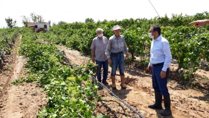 Kaymakam Uçgun, Fırtınadan Zarar Gören Üreticileri Ziyaret Etti