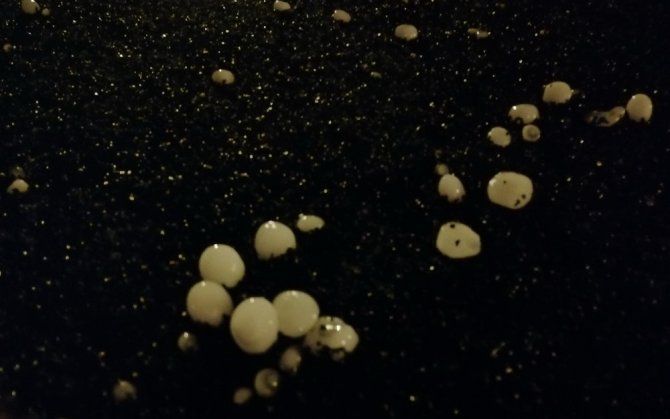 Salihli’yi Sağanak Yağmur Ve Dolu Vurdu