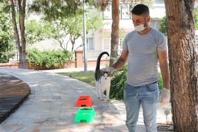 Sokak Hayvanları İçin ’Bir Kap Su’ Kampanyası