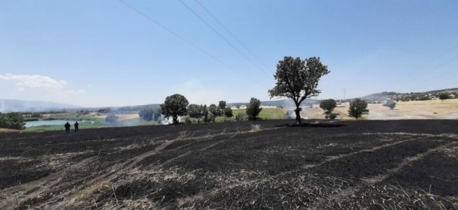 Uşak’ta Korkutan Yangın