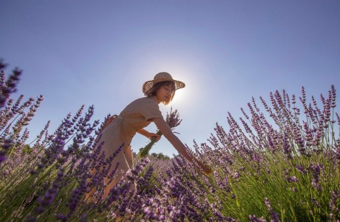 Deterjan Fabrikaları O Köye Gözünü Dikti