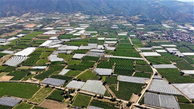 Sarıgöl Ovası Beyaz Örtüyle Kaplanıyor