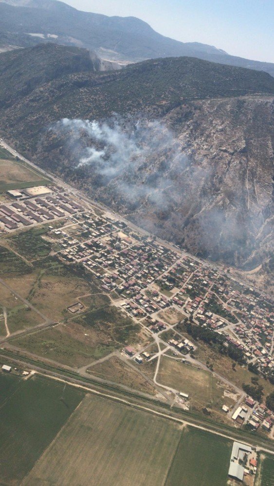 Söke Sazlıköy’de Orman Yangını Çıktı