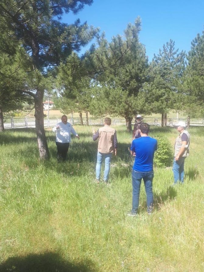 Kurtuluş Savaşı Şehitlerinin Mezarları Tespit Ediliyor