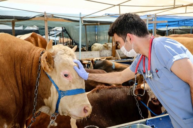 Buca’nın Kurban Pazarları Denetlendi