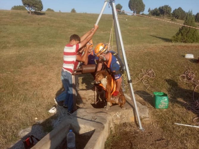 Kuyuya Düşen Köpeği Afad Ekipleri Kurtardı