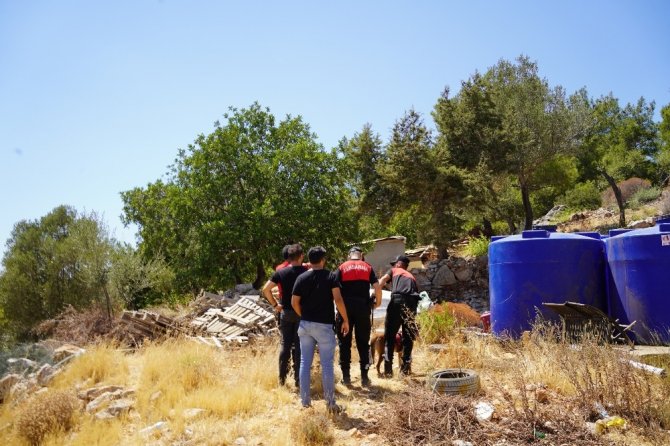 Köpeğin Getirdiği İnsan Kafatası Polisi Alarma Geçirdi