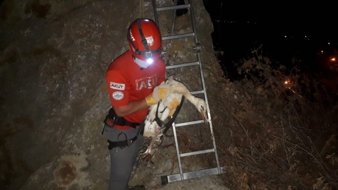 Kayalıklardan Mahsur Kalan Leylek 20 Dakikalık Operasyonla Kurtarıldı