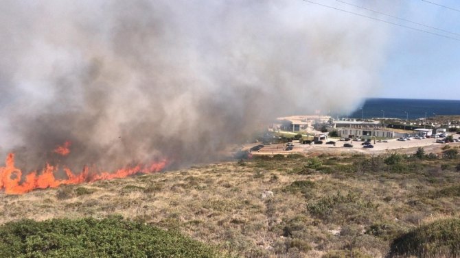 Ünlü Tatil Merkezi Alaçatı’da Korkutan Yangın
