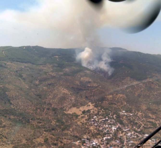 Aydın’da Orman Yangını
