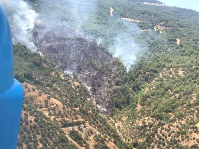Efeler Yeniköy’de Orman Yangını