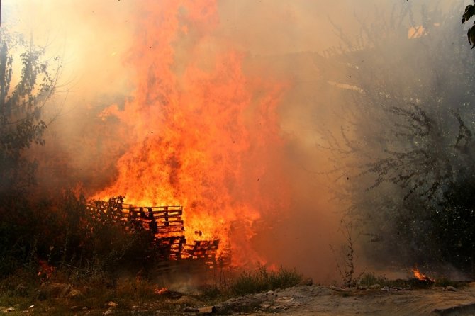Paletlerden Çıkan Yangın Deponun Çatısına Sıçradı