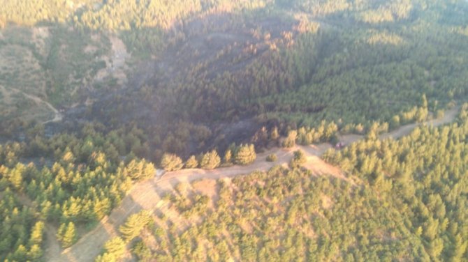 Yeniköy’deki Orman Yangını Söndürüldü