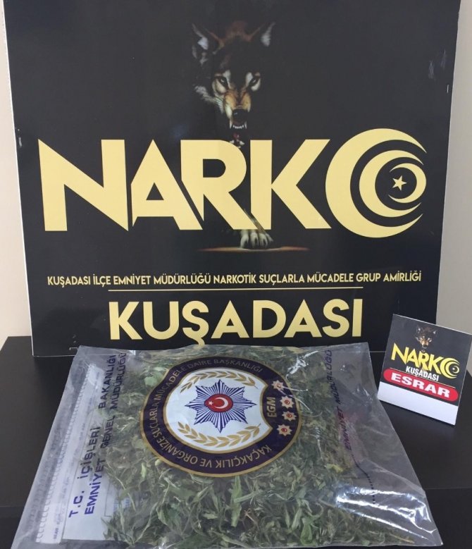 Evinin Bahçesini Uyuşturucu Tarlasına Çevirmiş