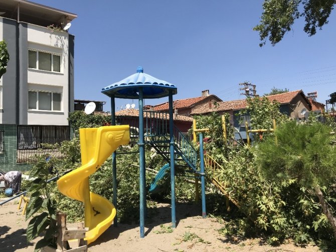 Çocuk Parkındaki Tarihi Çınar Ağacı Devrildi: 3 Araç Hasar Gördü
