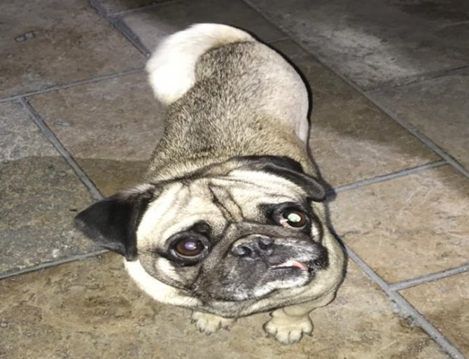 Denizli’de 610 Farklı Asayiş Olayında 380 Şüpheli Gözaltına Alındı