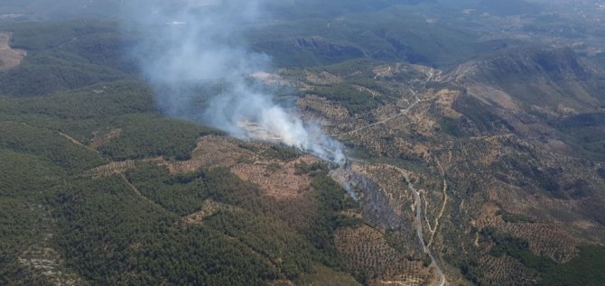 Milas’ta Zirai Alandaki Yangını Söndürme Çalışmaları Devam Ediyor