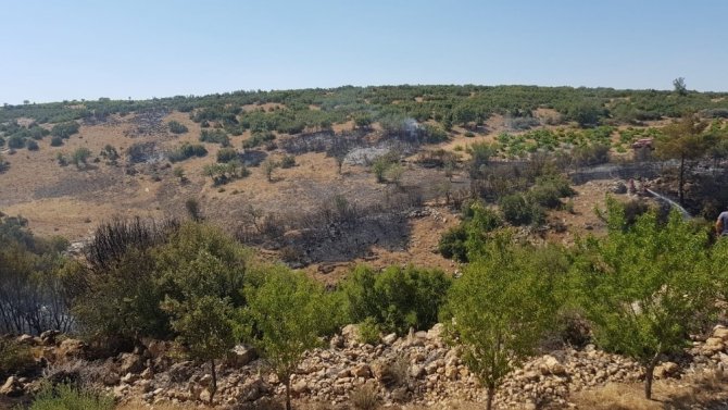 2 Saatte Kontrol Altına Alınan Orman Yangınında 5 Hektar Alan Zarar Gördü