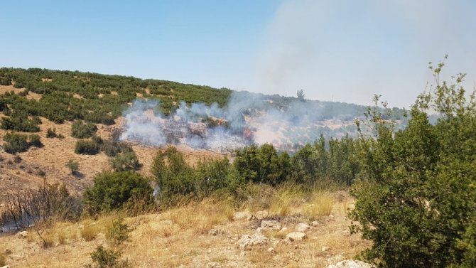 Denizli’de Orman Yangına Havadan Ve Karadan Müdahale Ediliyor