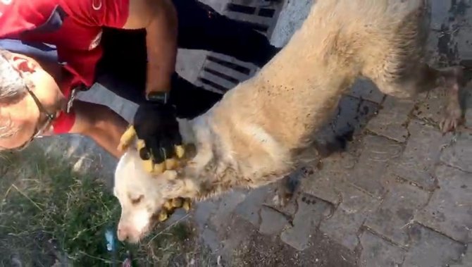 İtfaiyeden Nefes Kesen Kurtarma