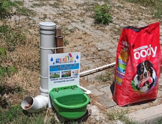 Gediz Belediyesi’nden Sahipsiz Sokak Hayvanları İçin Bir Kap Yemek Bir Kap Su