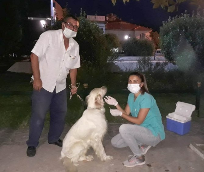 Salihli’de Av Köpekleri Aşılandı