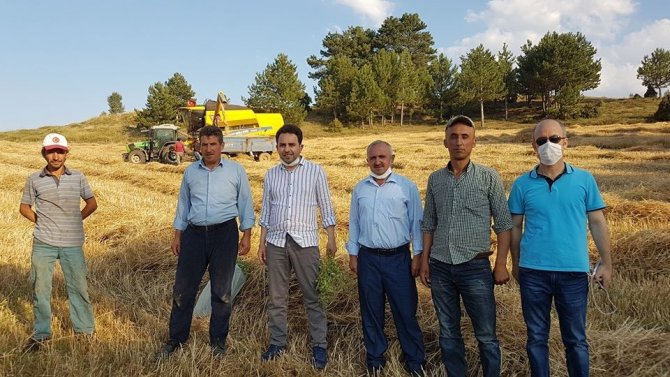 Gazel, Aslanapa İlçesinde İncelemelerde Bulundu