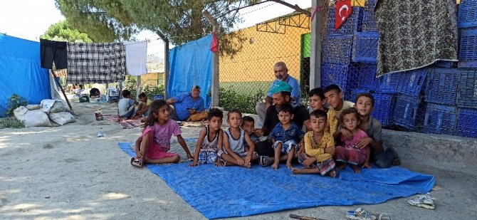 Mevsimlik Tarım İşçilerinin Zorlu Mesaisi