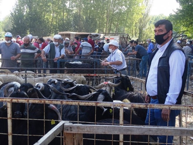 Hisarcık’ta Kurbanlık Satışları Durgun