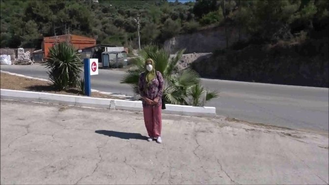 Sınava Giderken Köpeklerin Saldırısına Uğradı