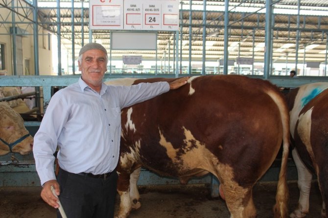 Denizli Ticaret Borsası Canlı Hayvan Pazarı’nda Basın Gezisi Düzenledi