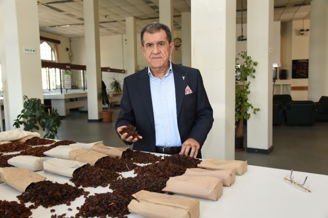 Tmo’dan Kuru Meyve Sektörüne Büyük Destek