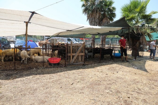 Marmaris’te Kurban Bayramı Hazırlıkları Tamamlandı