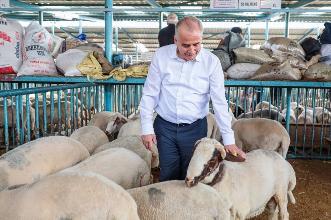 Canlı Hayvan Pazarı Kurban Boyunca Açık Olacak