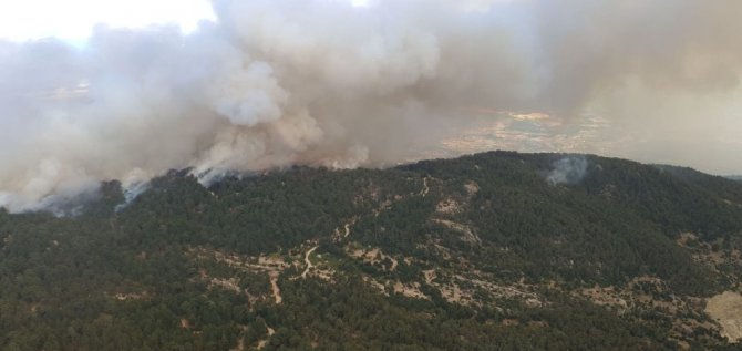 Aydın’dan Muğla’ya Sıçrayan Yangın Devam Ediyor
