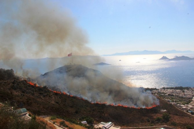 Turizm Cenneti Alevlere Teslim Oldu