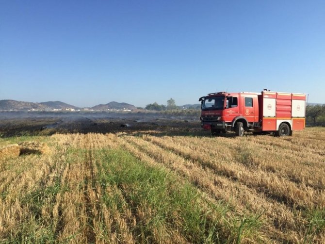İzmir’de 100 Zeytin Ağacı Ve 250 Saman Balyası Kül Oldu