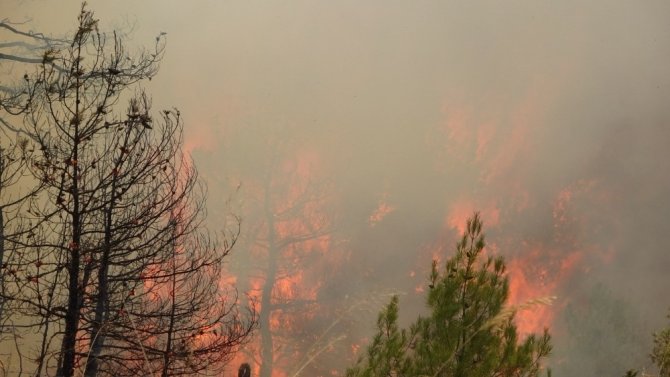 Dumandan Etkilenen Görevli Canı Pahasına Alevlerle Mücadele Ediyor