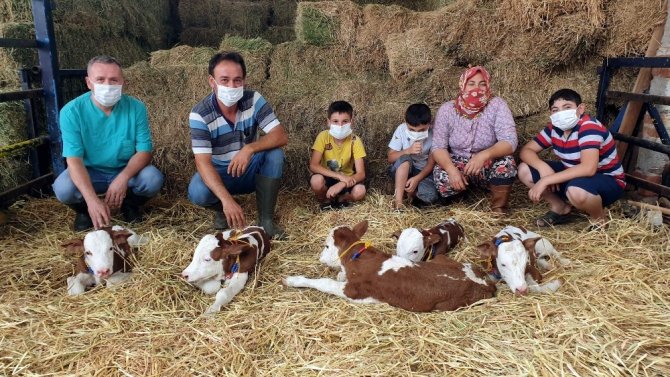 İkiz Beklerken, Beşiz Doğurdu