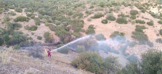 Denizli’de Çıkan Orman Yangını Kontrol Altına Alındı