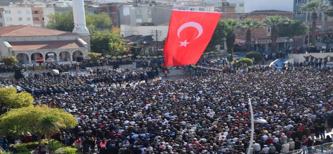 dsc_0099.jpg dsc_0099.jpg